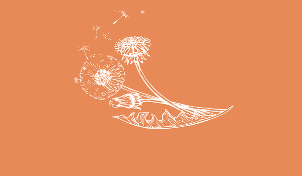 Elegant floral illustration of dandelions on a warm terracotta background, representing natural ingredients and craftsmanship.