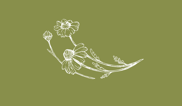 Delicate line drawing of a flower with buds, representing natural elegance and quality in Bos Wine products.