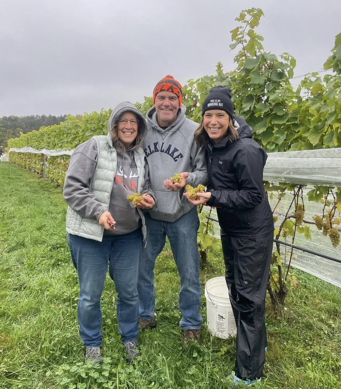 Happy team harvesting grapes in vineyard during 2023 BOS Wine harvest event.