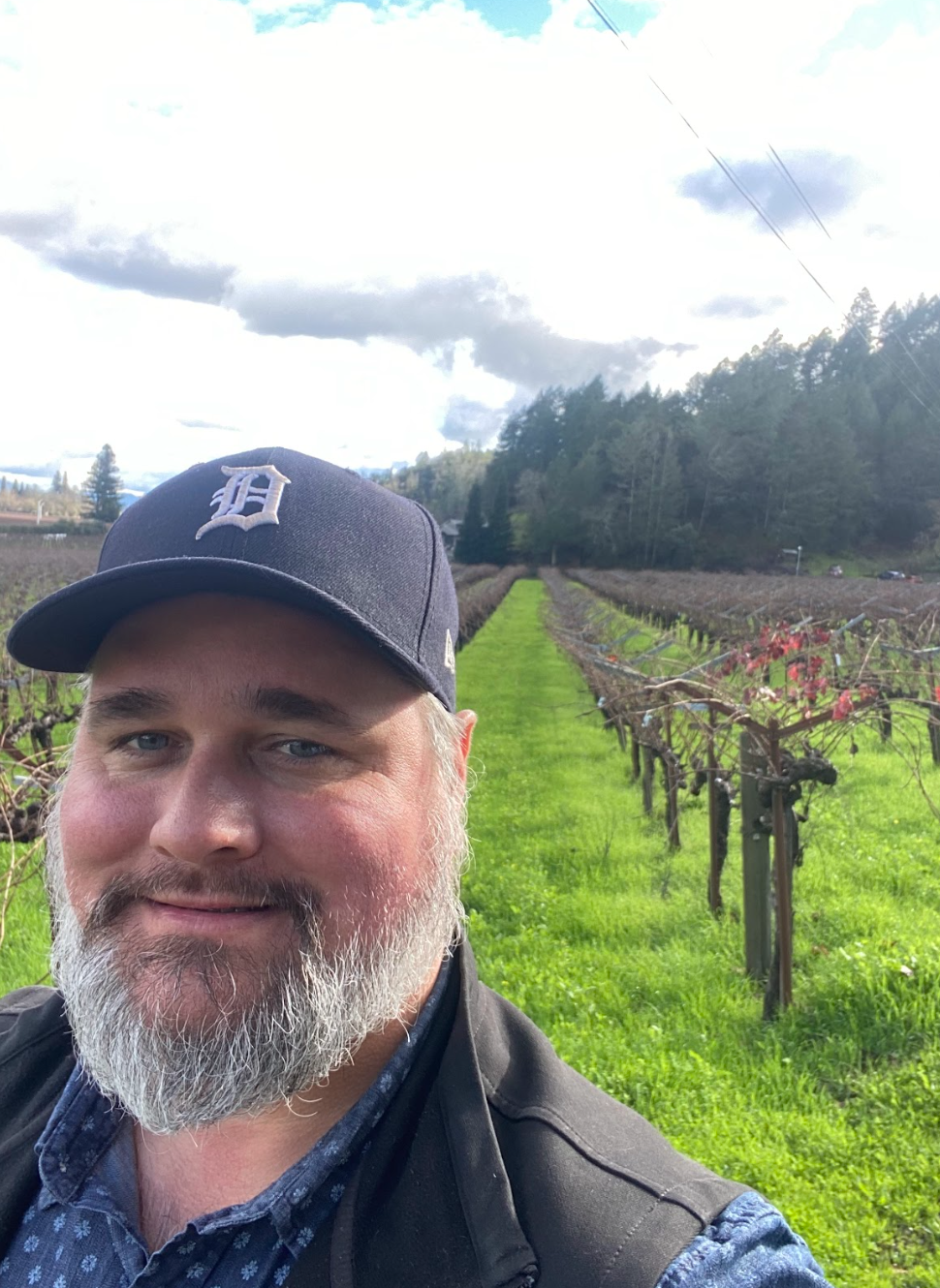 Winegrower in a vineyard during winter at Bos Wine, with lush green rows and a scenic backdrop of trees and cloudy sky.